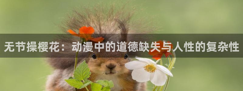 omofun苹果自签：无节操樱花：动漫中的道德缺失与人性的复杂性