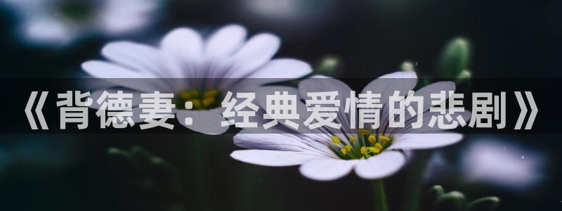 omofun在线观看动漫：《背德妻：经典爱情的悲剧》