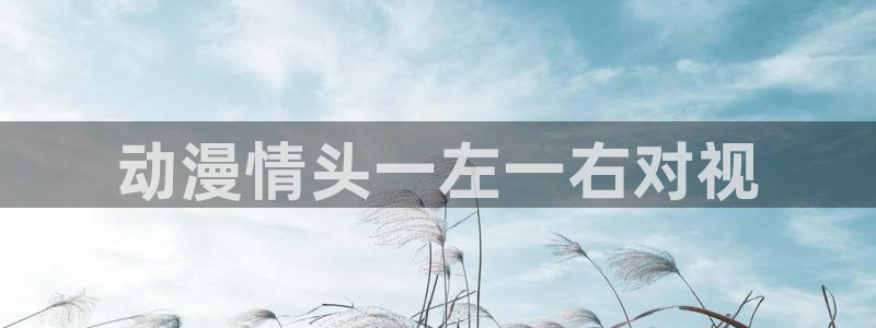 omofun网页版登录入口：动漫情头一左一右对视