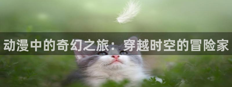 omofun下载官方app：动漫中的奇幻之旅：穿越时空的冒险家