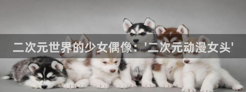 omofun动漫官网下载：二次元世界的少女偶像：\'二次元动漫女头\'