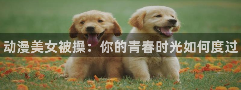 omofun.cn：动漫美女被操：你的青春时光如何度过