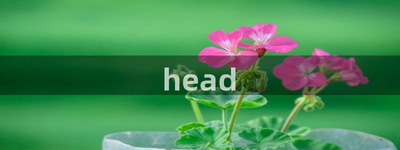 http://omofun：head