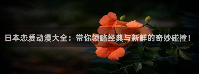 omofun动漫官网最新版：日本恋爱动漫大全：带你领略经典与新鲜的奇妙碰撞！