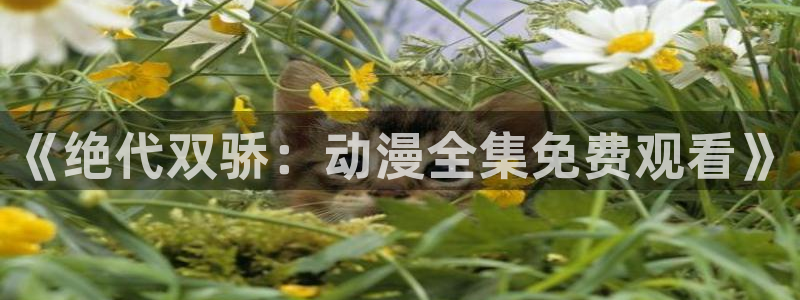 omofun动漫下载苹果：《绝代双骄：动漫全集免费观看》